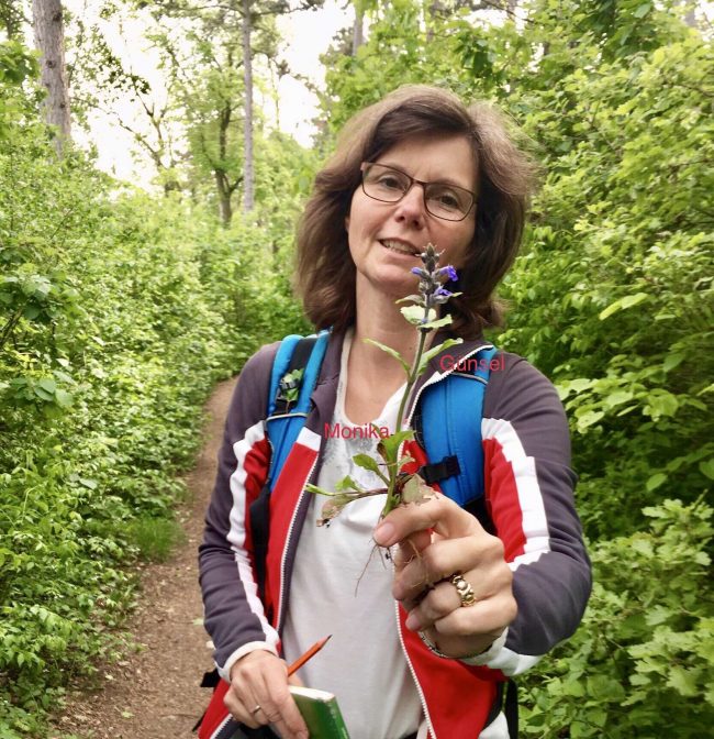 Kräutecoaching Vana Monika Kräuterwanderung